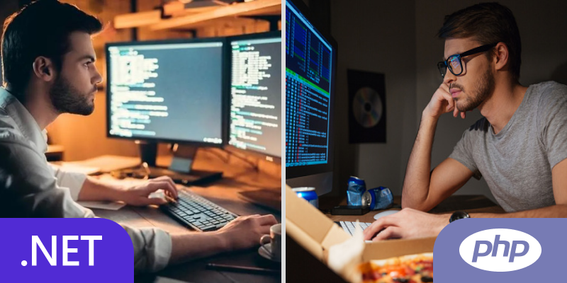 .NET developers vs PHP developers