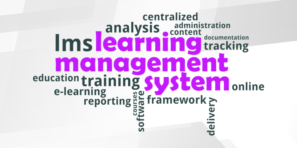 Learning Management System Development