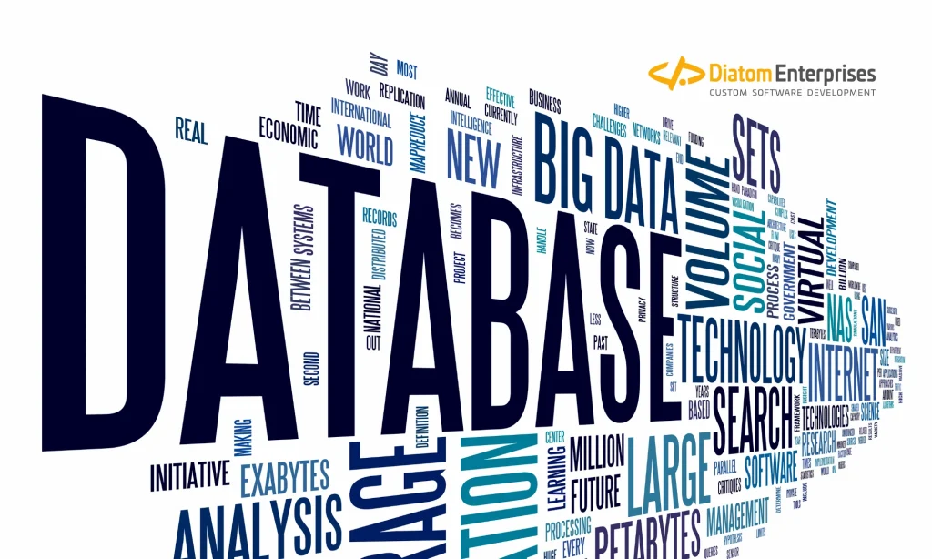 What Is Database Management Software?